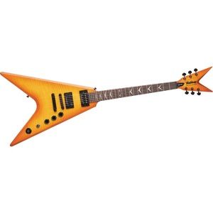 Meet your Posher, Bradley